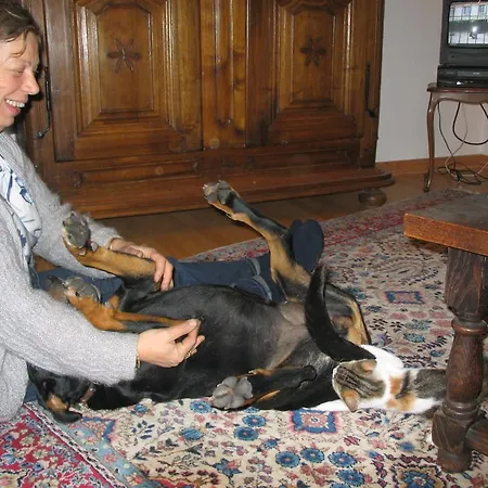 Chambres D'hotes Bieberschwanz Couette-café *